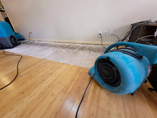Professional Water Damage Repair technician working in Ephrata, PA